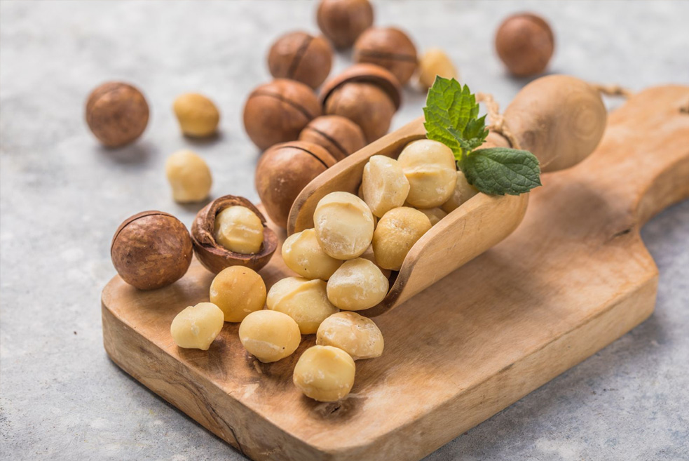 honey coated macadamia nuts