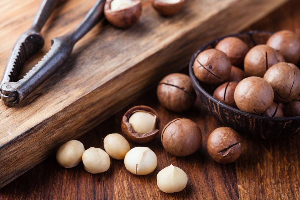 macadamia nuts