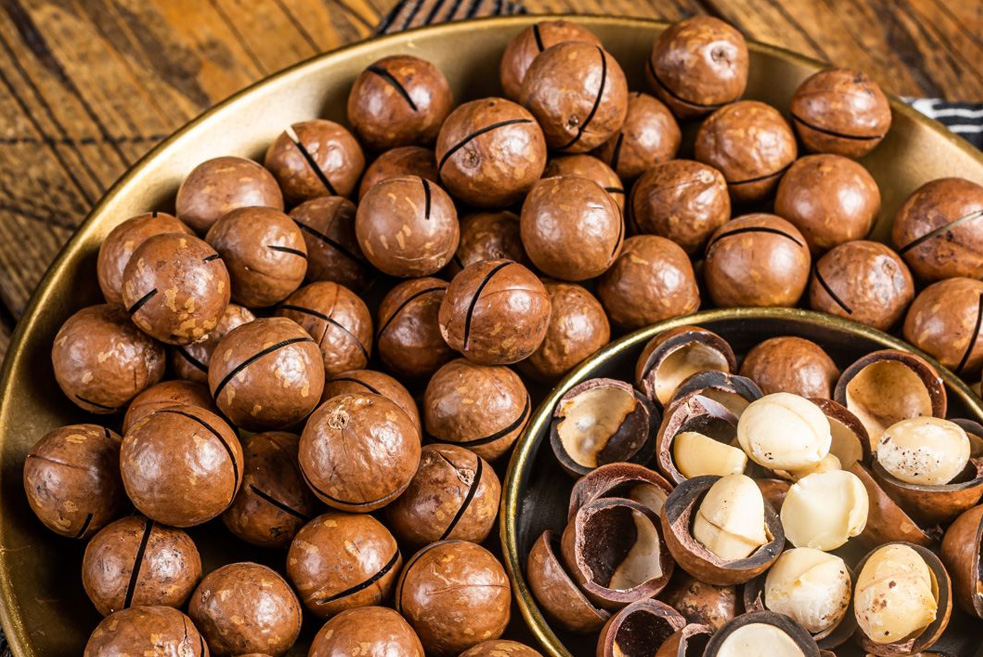 Roasted and Salted Macadamia Nuts